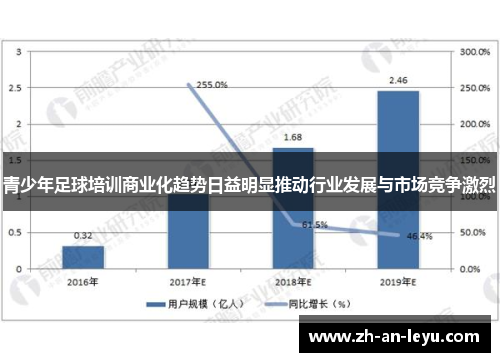 青少年足球培训商业化趋势日益明显推动行业发展与市场竞争激烈