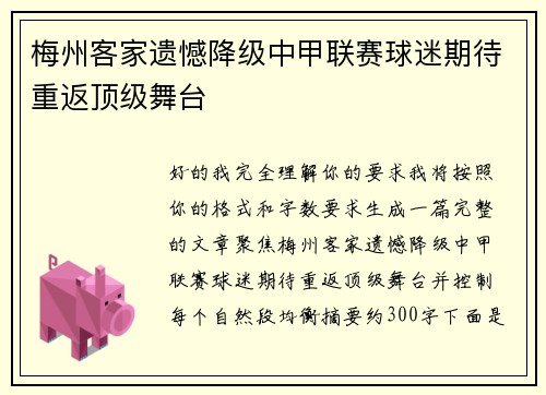 梅州客家遗憾降级中甲联赛球迷期待重返顶级舞台 梅州客家遗憾降级中甲联赛球迷期待重返顶级舞台